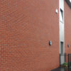Anglian-Red-Stock-CBP-CAP-DVMA