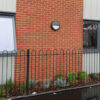 Anglian-Red-Stock-CBP-CAP-DVMA