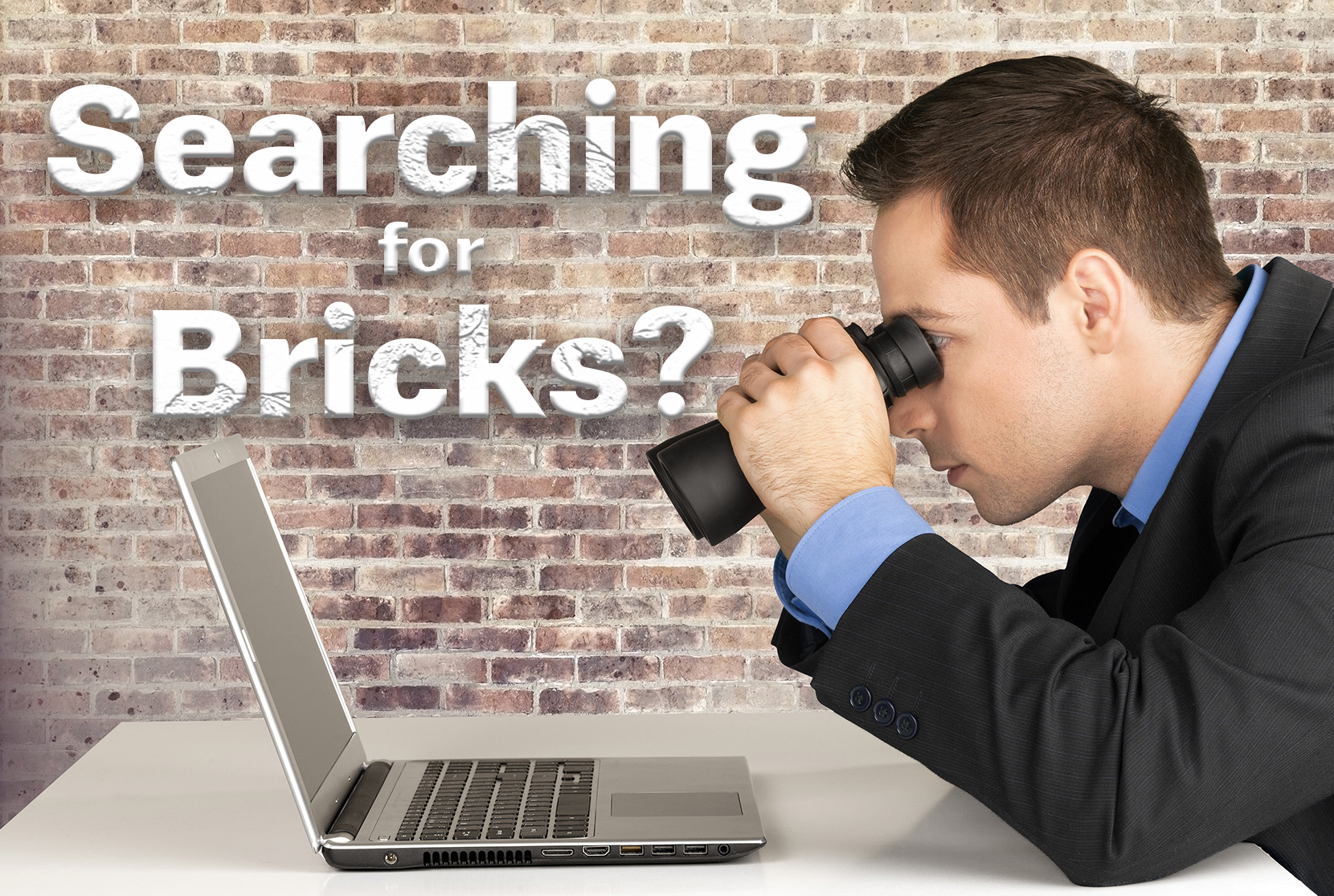 looking for bricks