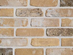 Blackwall Yellow Antique